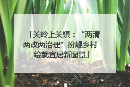 关岭上关镇：“两清两改两治理”扮靓乡村 绘就宜居新图景
